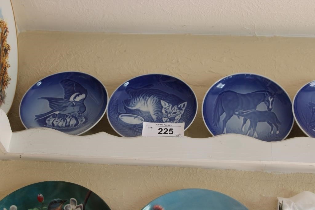 Collector plate collection