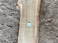 Liveedge Poplar