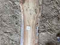 Liveedge Poplar