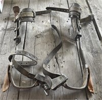 Set of Lineman Climbing Spurs