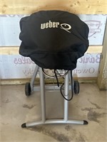 Weber electric grill