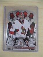 Craig Anderson panini crown