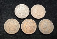 Lot of Five Indian Head Pennies
