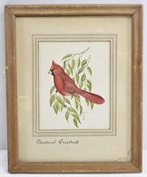 R. Sutton 'Cardinal Grosbeak' Watercolor