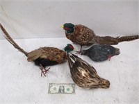 Lot of Vintage Faux Taxidermy Pheasants - As