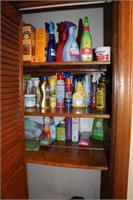 Closet of Household Chemicals/Cleaning Supplies