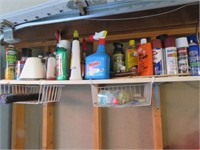 CONTENTS ON SHELF - WASP AND HORNET SPRAY, SPRAY