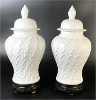 Pair of Ginger Jars with Footed Base