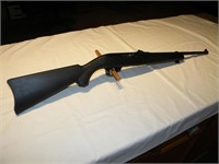 ruger 10/22 22cal
