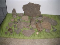 Fossil Rocks