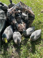 IN GREAT FALLS, MT - Lrg Lot of Duck/Goose Decoys