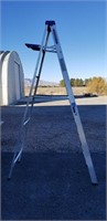 8ft Werner Aluminum Ladder