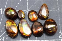 8 Excellent Fire Agate Cabs