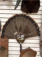 Turkey Fan Feathers W/ Beard Mount