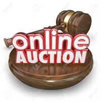 AUCTION STARTS ENDING AT 12 NOON ON SATURDAY 6/29