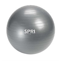 SPRI Weighted Stability Exercise Ball, 65CM AZ4
