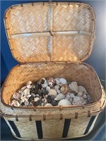 Huge basket of seashells