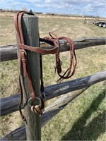 WESTERN BRIDLE W/ SNAFFLE & BRAIDED REINS