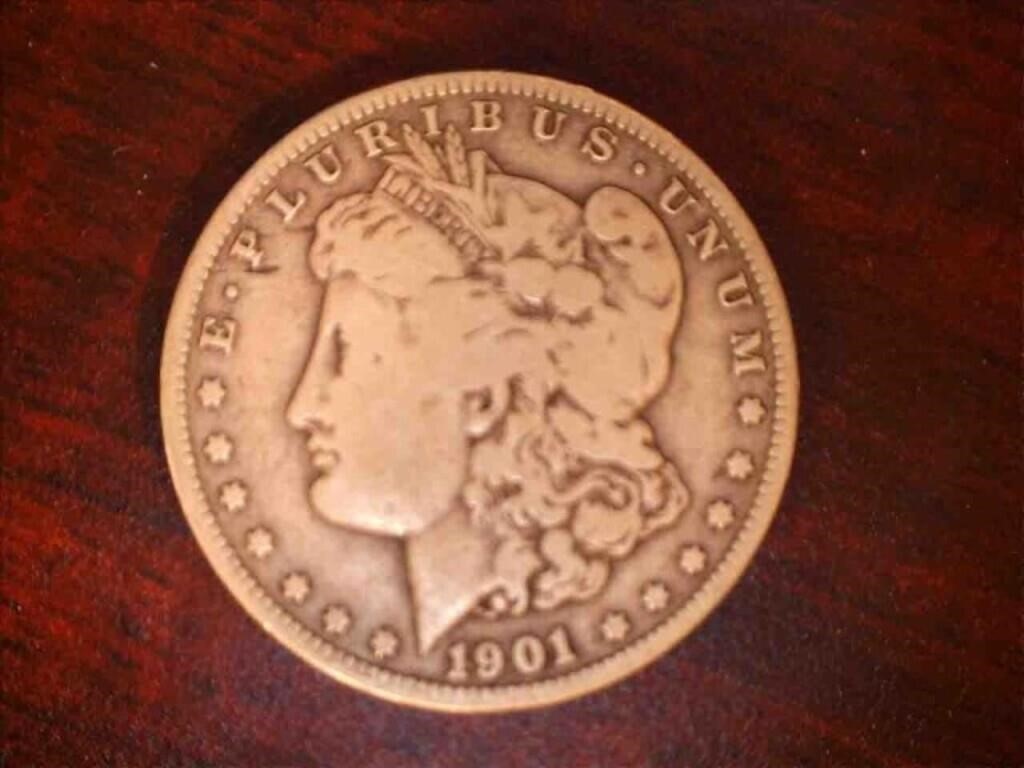 1901 Morgan Dollar