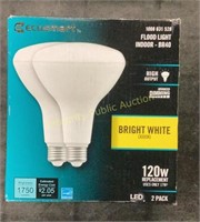 Ecosmart Flood Light Indoor BR-40 Bright White