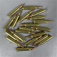 Remington .223 55Gr Ammo -20 Rounds