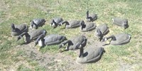 13 Goose decoys