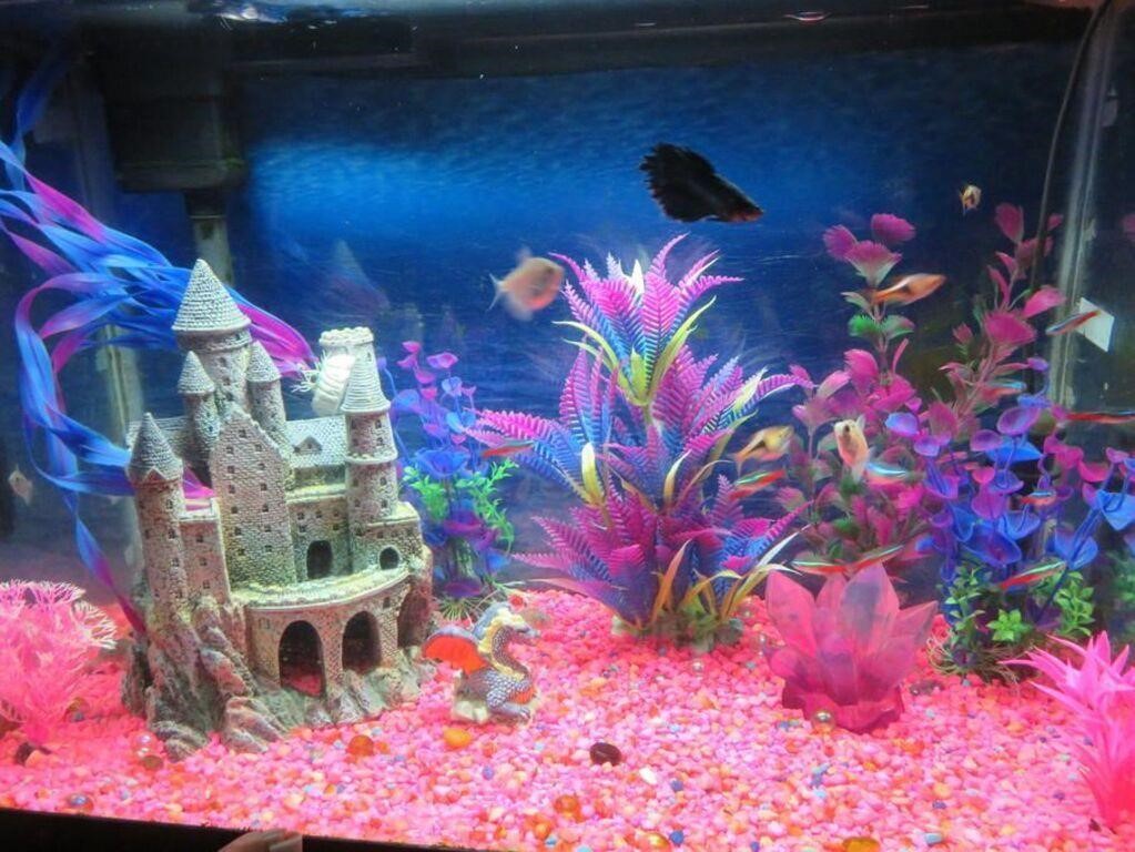New- Aquarium Stones Pink + Blue 1.7 KG