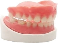 Denture DIY Top & Bottom Fake Teeth