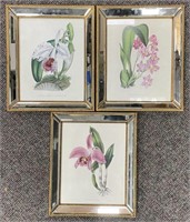3 Botanicals of Cattleya Orchids Mirrored Frames