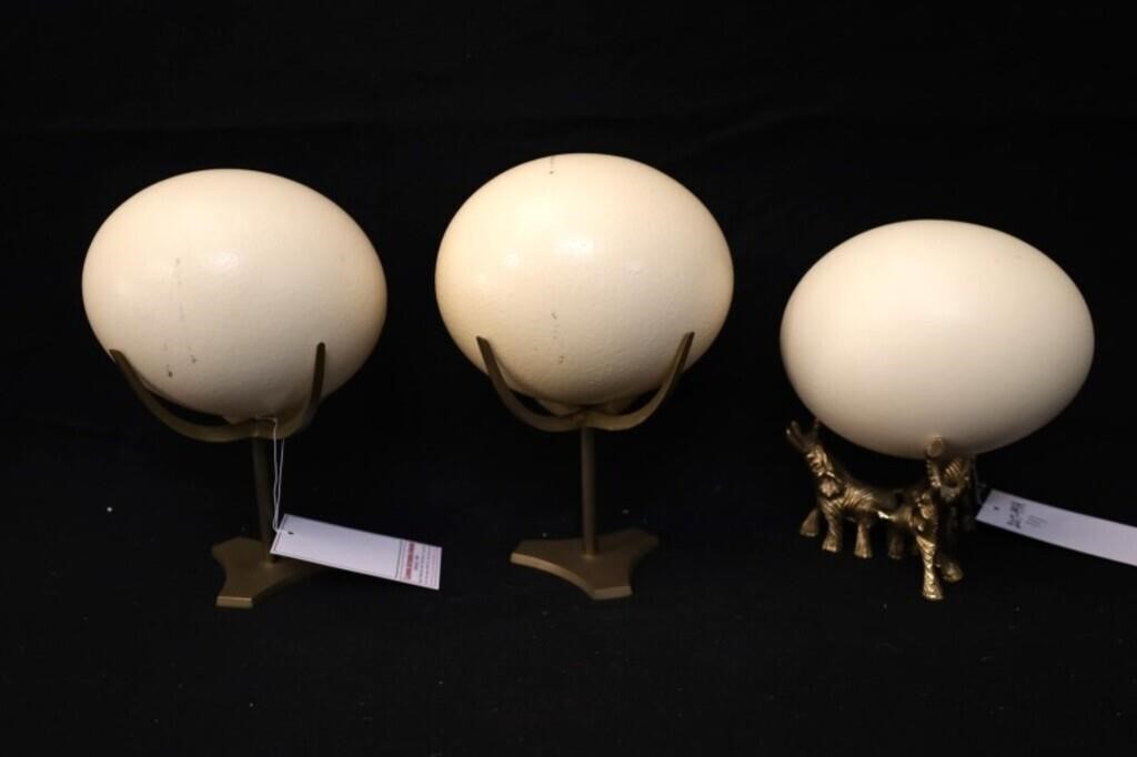 Ostrich Eggs with  brass stands - 3