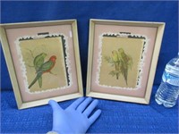 pair of vintage bird pictures in frames 9x11