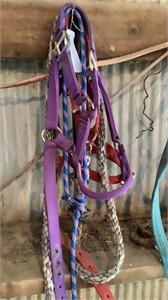Halters and ropes