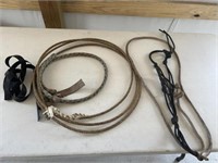 Horse halter, and ropes