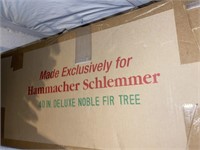 Schlemmer Fir Tree in Box