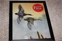Potosi Beer Mallard Duck Framed Print
