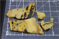 Opalized Seqoia Slab Pieces, 24 Grams