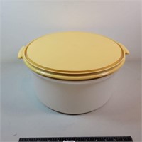 Large Tupperware Bowl