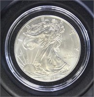 US Coins 2013 Silver Eagle, uncirculated, toned