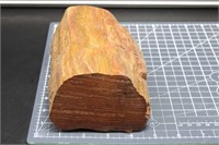 7lb Faced Unpolished Red Colored Petrified Wood