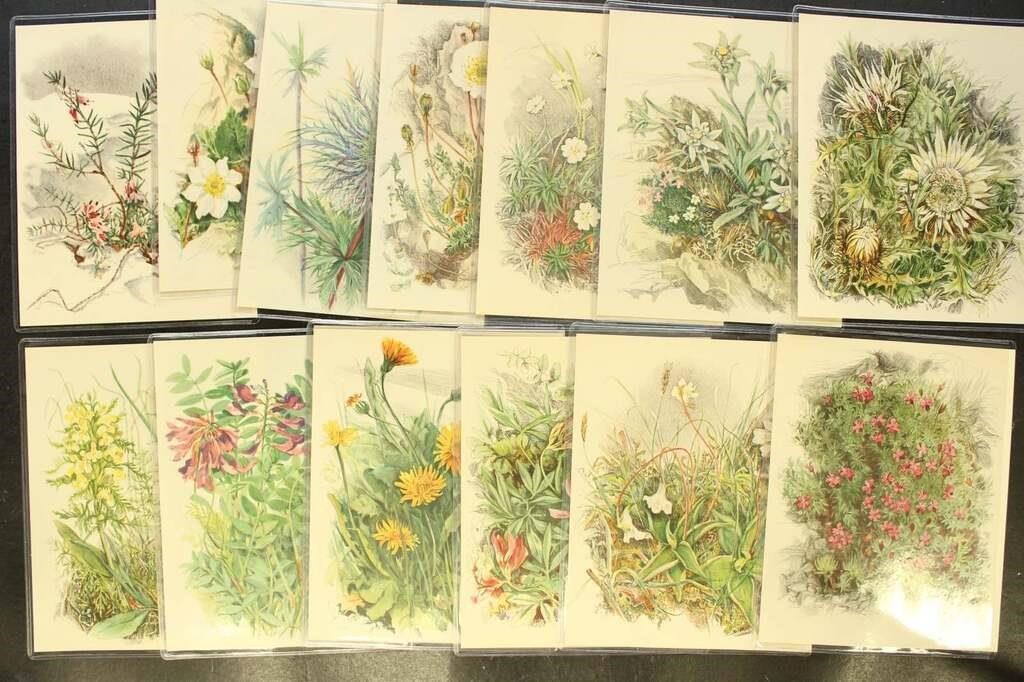 Silva Lithographs Flora & Fauna series, 25+ differ
