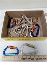 Group of Lights carabiners