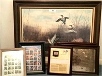 Duck picture 34 x 28, Collector Stamps,