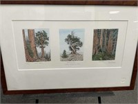 Signed and Numbered Prints of Three Trees