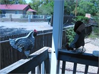 Pair Metal Yard Chickens Tallest 15"