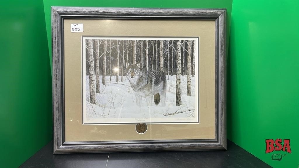 Framed Picture - Wolf in the Forest