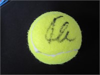 Kevin Anderson Signed Tennis Ball COA