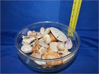 Bowl of Seashells