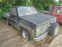 1978 Chevy Custom Deluxe 10 Truck