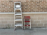 Ladder and Stepping Stool