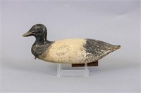 Blue Bill Drake Duck Decoy by Unknown Carver,